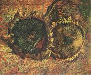 Vincent Van Gogh Two Cut Sunflowers (nn04) oil